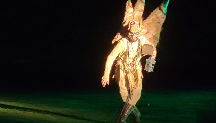 Noches Mágicas del Botánico